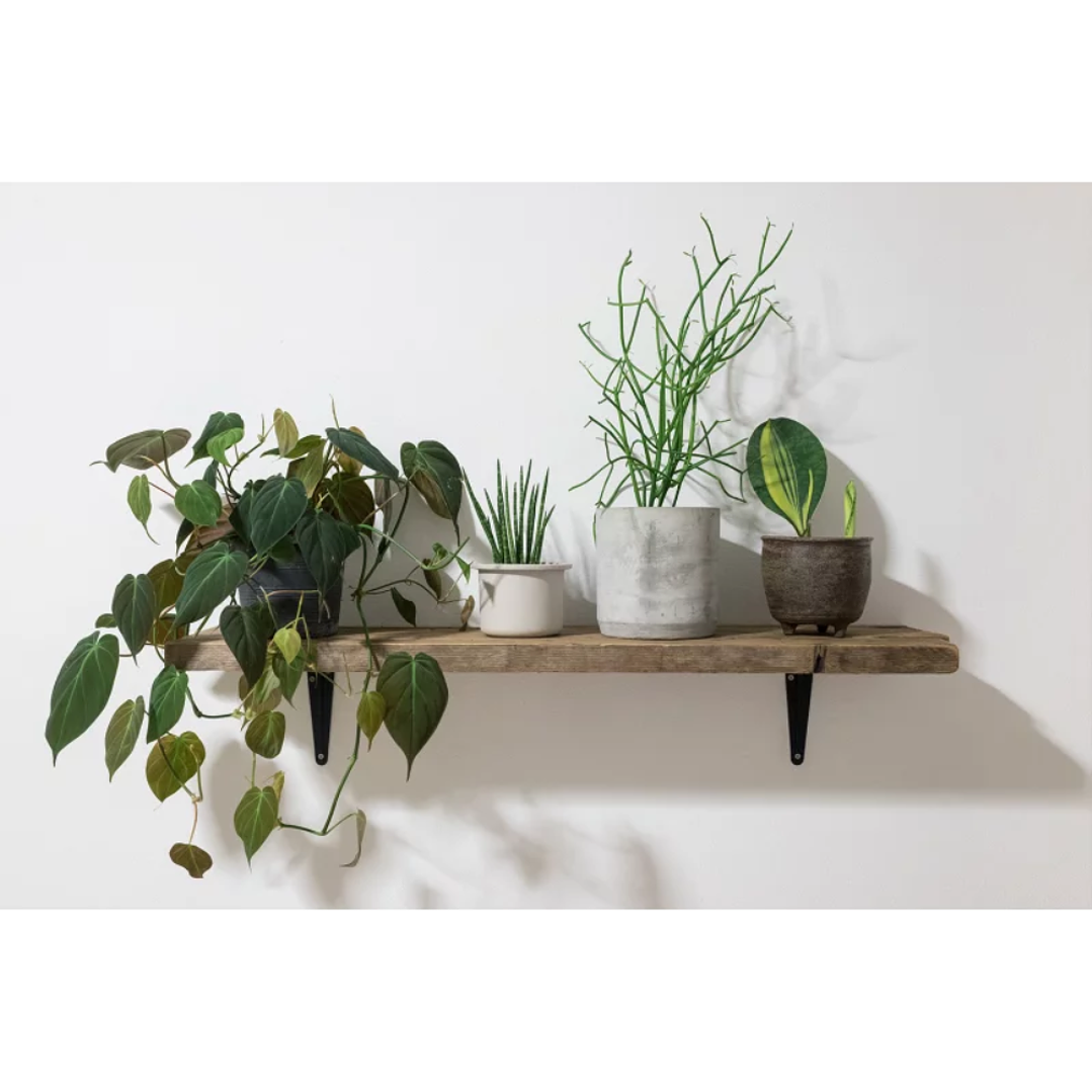 Anclaje Metalico Para Placa Yeso M5-16 Cja 50 Un 9