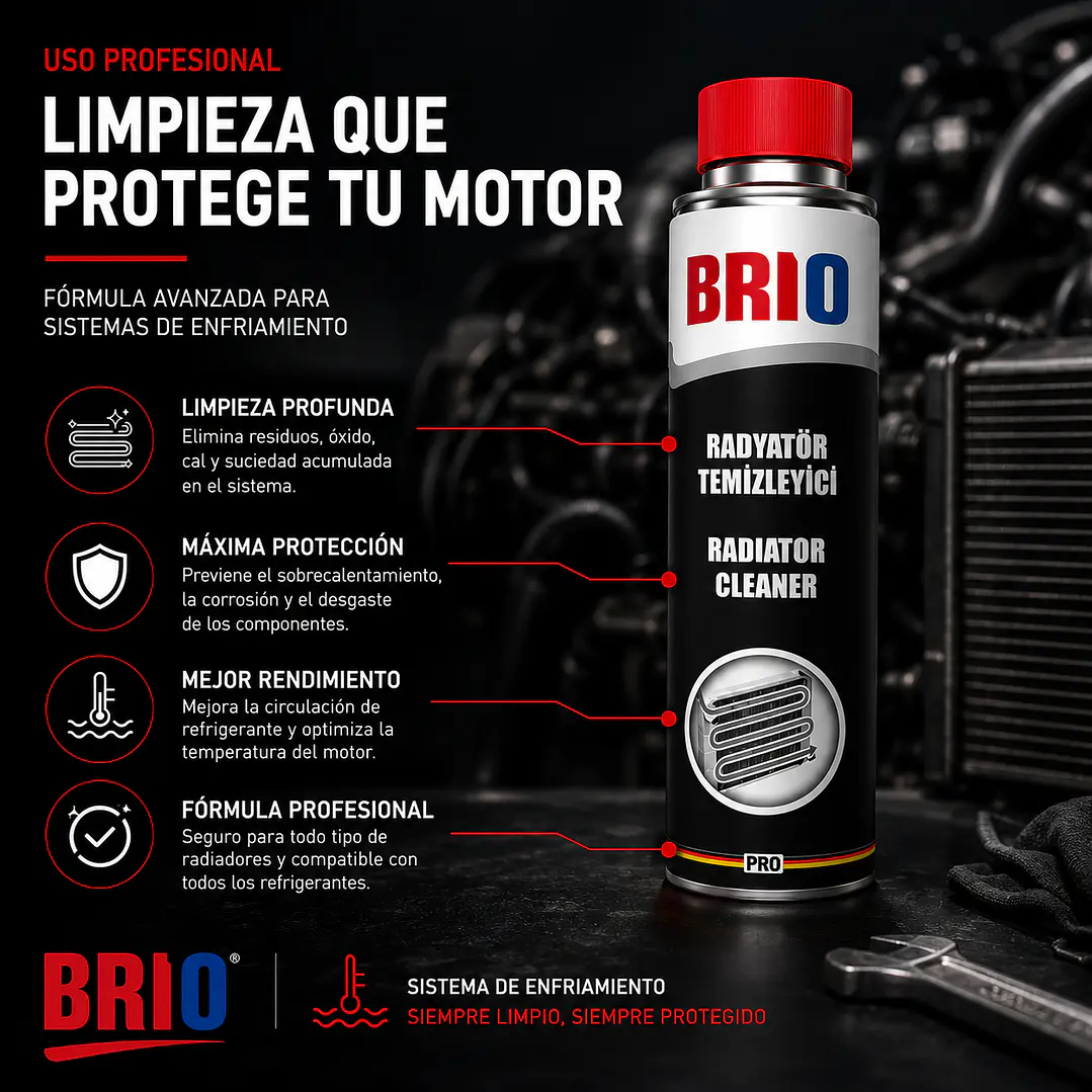 Limpiador Radiador 300 Ml 4