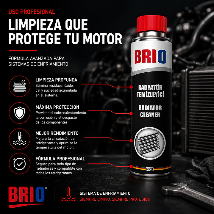 Limpiador Radiador 300 Ml 4