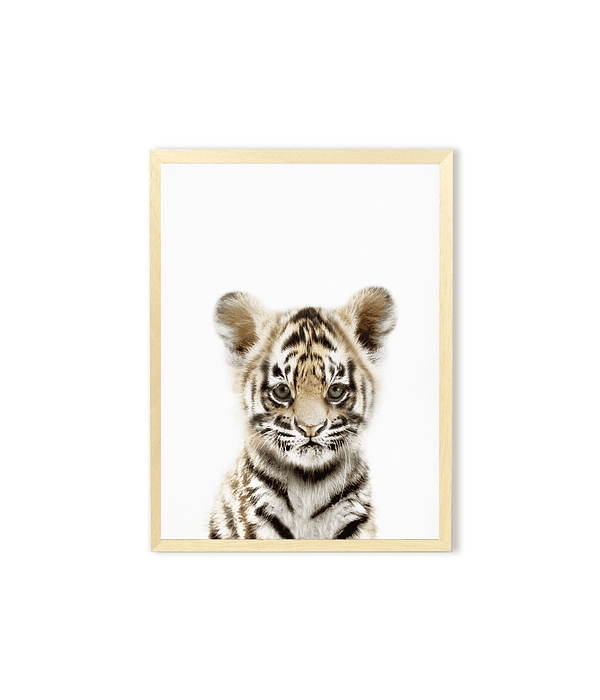 Cuadro tigre safari 