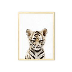 Cuadro tigre safari 