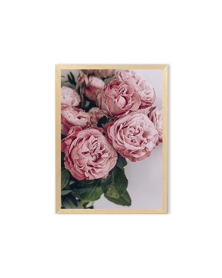 Cuadro / Pink Roses 