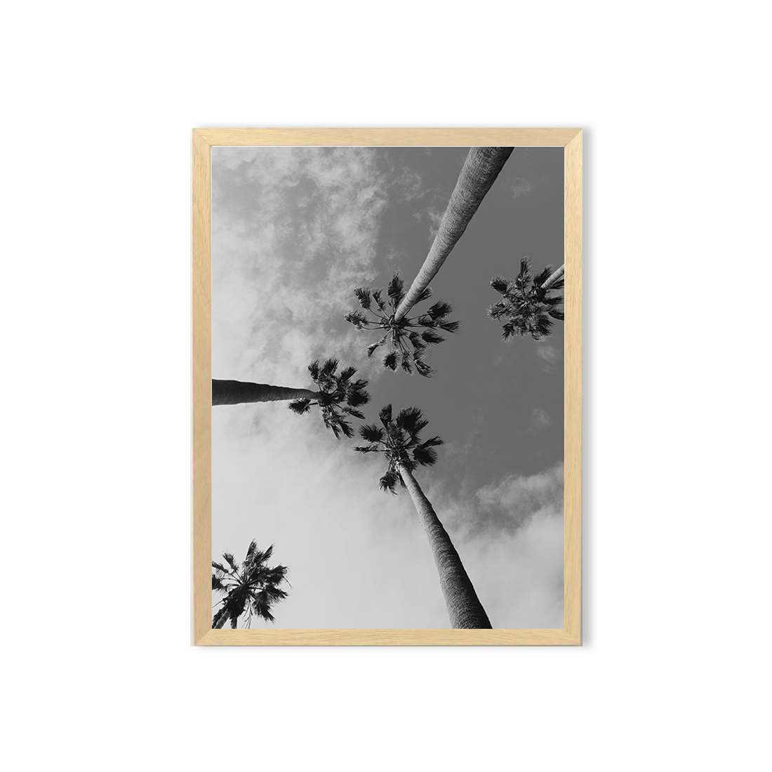 Cuadro / Palm tree 1