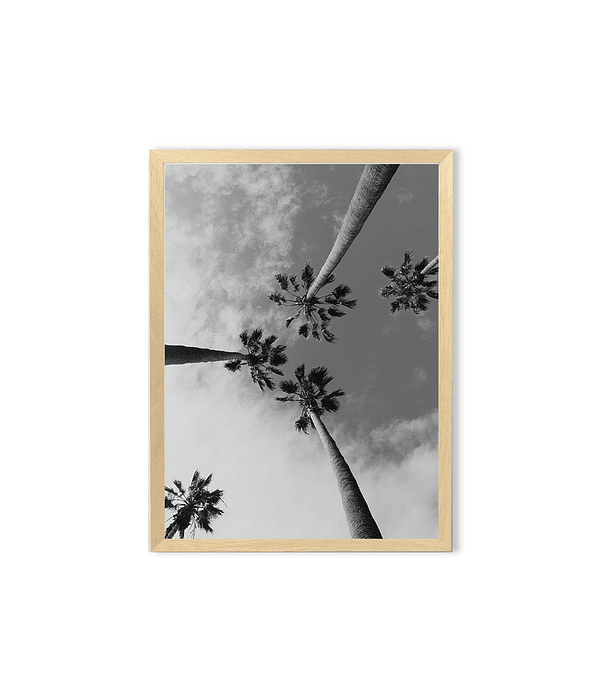Cuadro / Palm tree