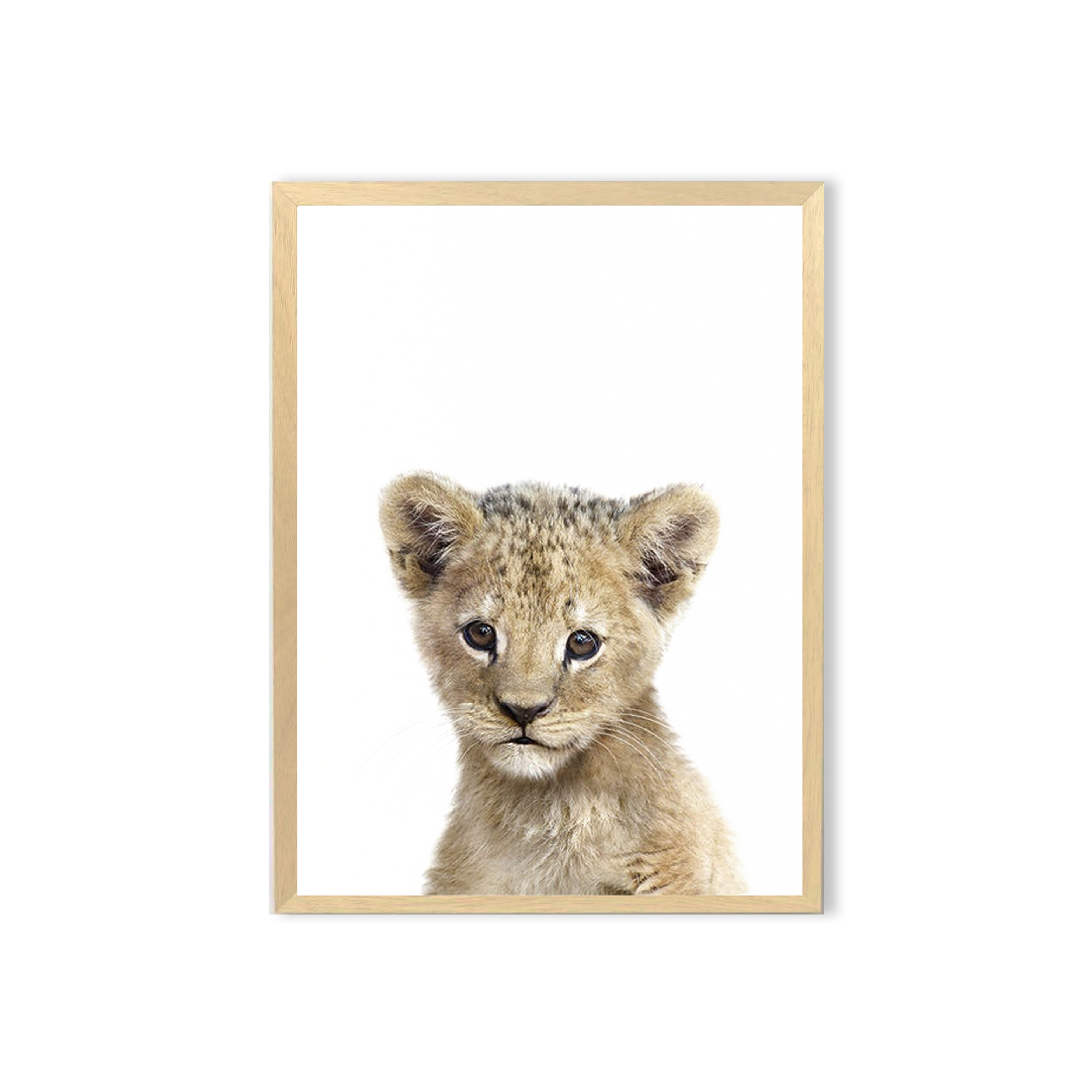 Cuadro / León bebe  1