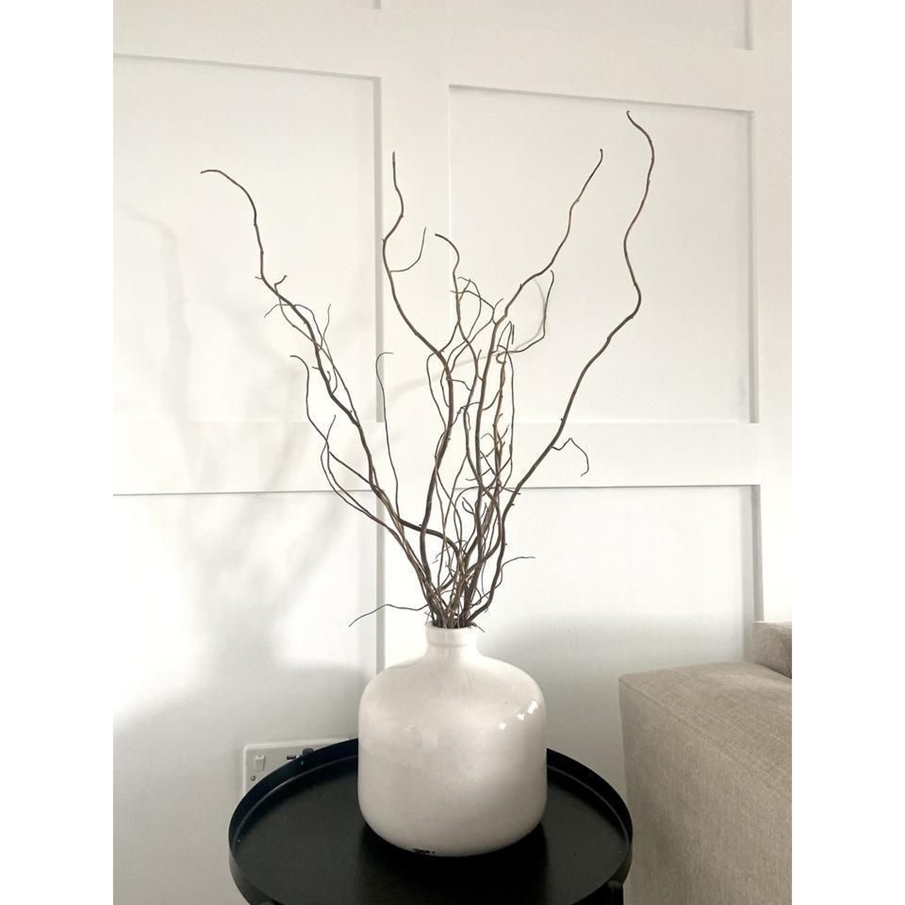 Ramas de Sauce crespo / Flores secas   1