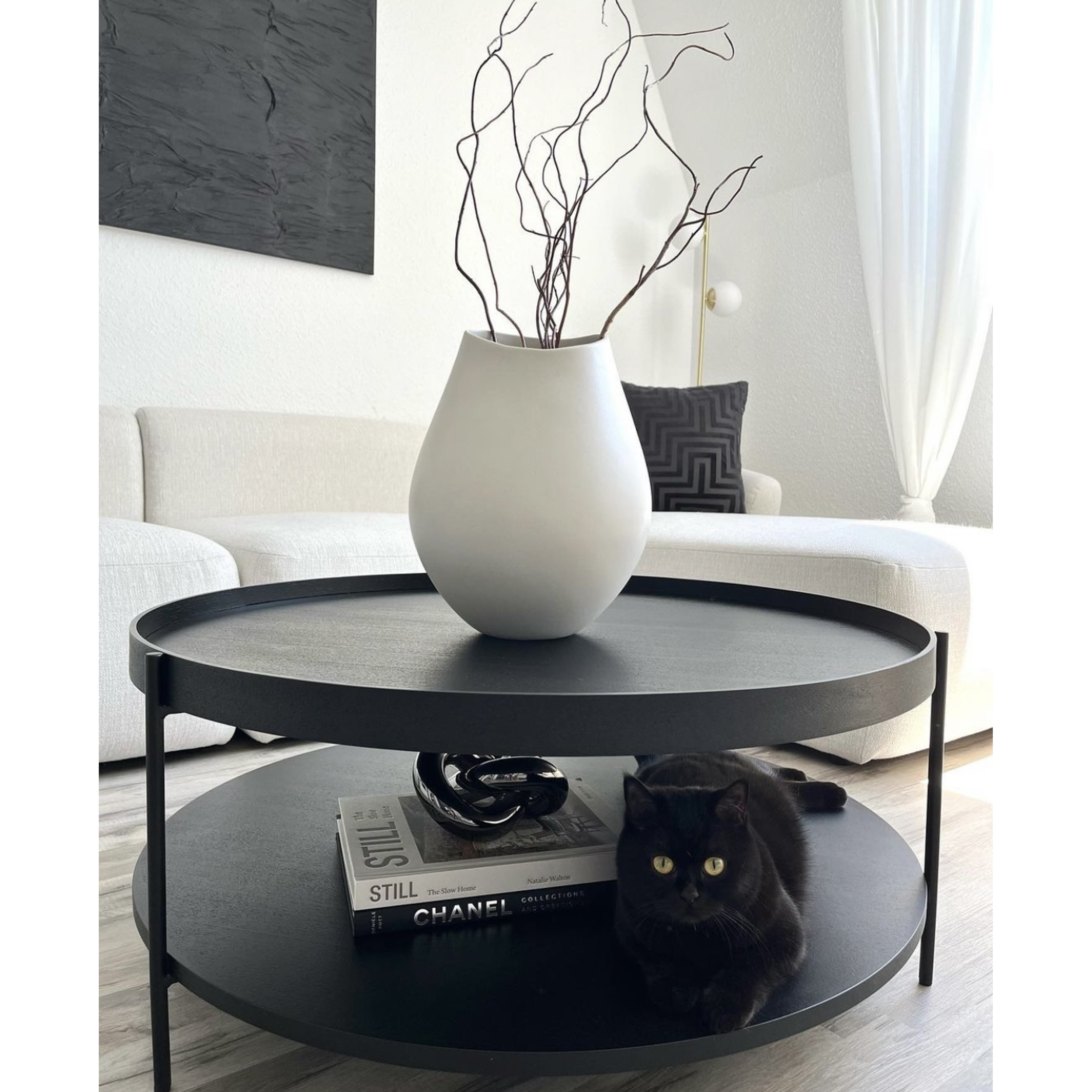 Ramas de Sauce crespo / Flores secas   12