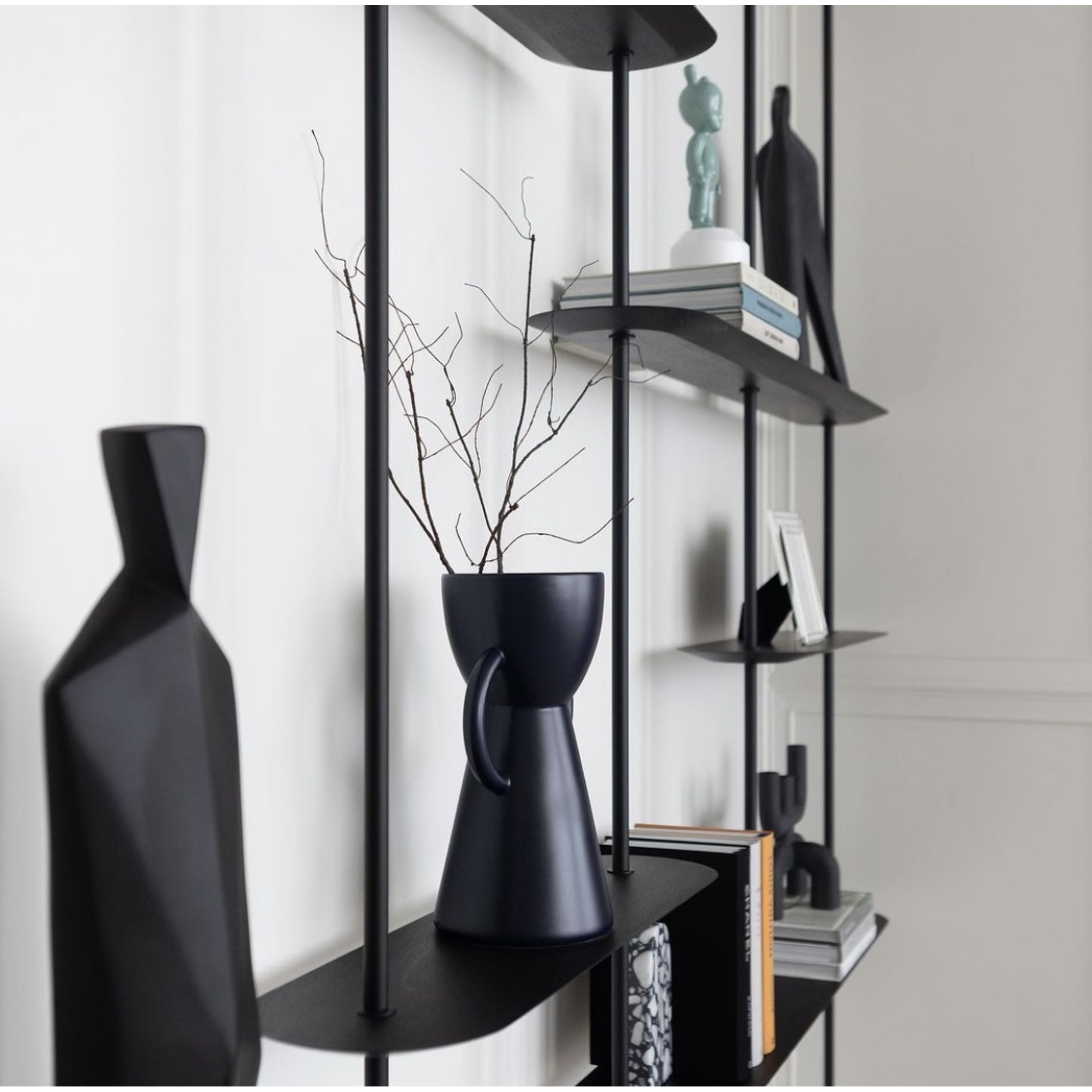 Ramas de Sauce crespo / Flores secas   13