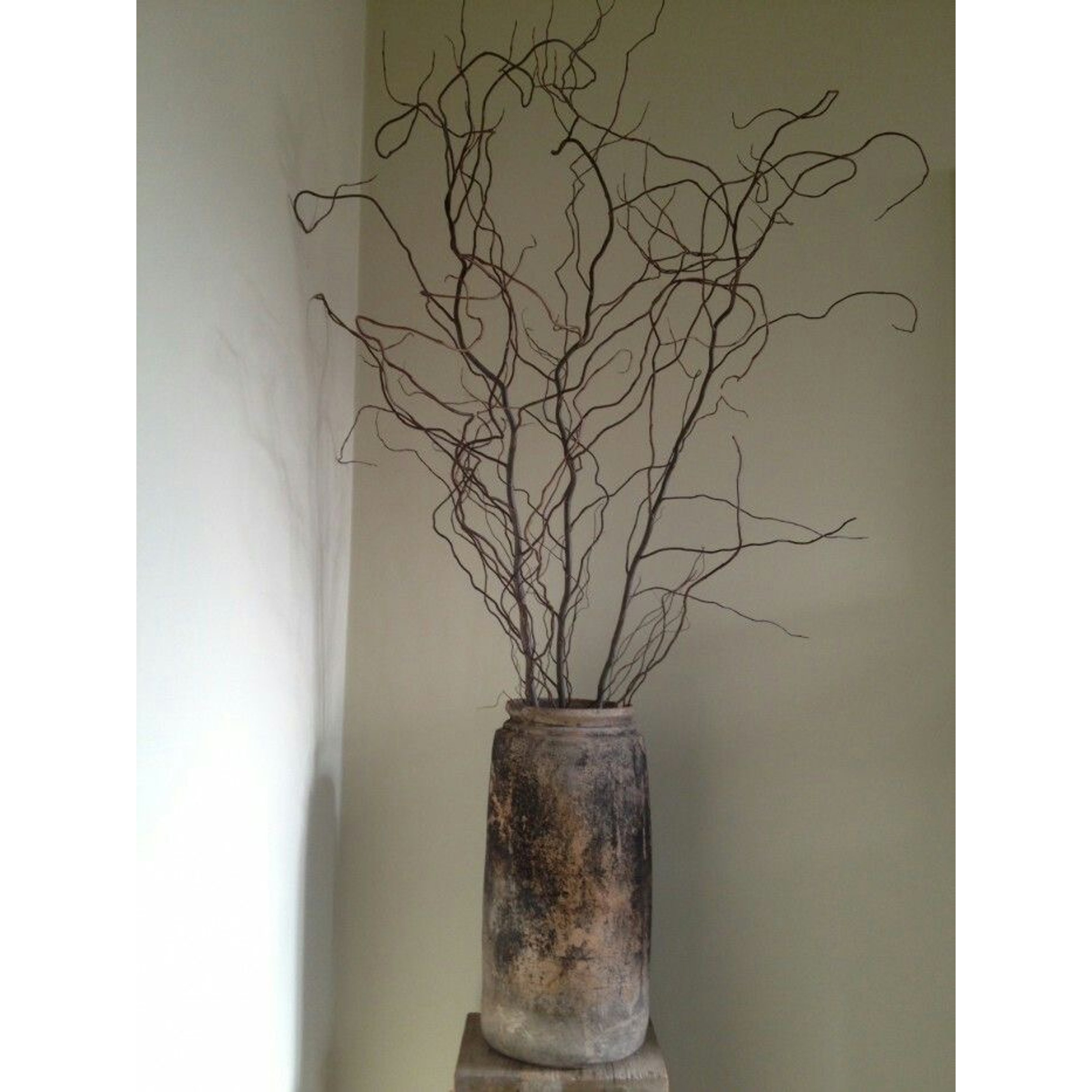 Ramas de Sauce crespo / Flores secas   14