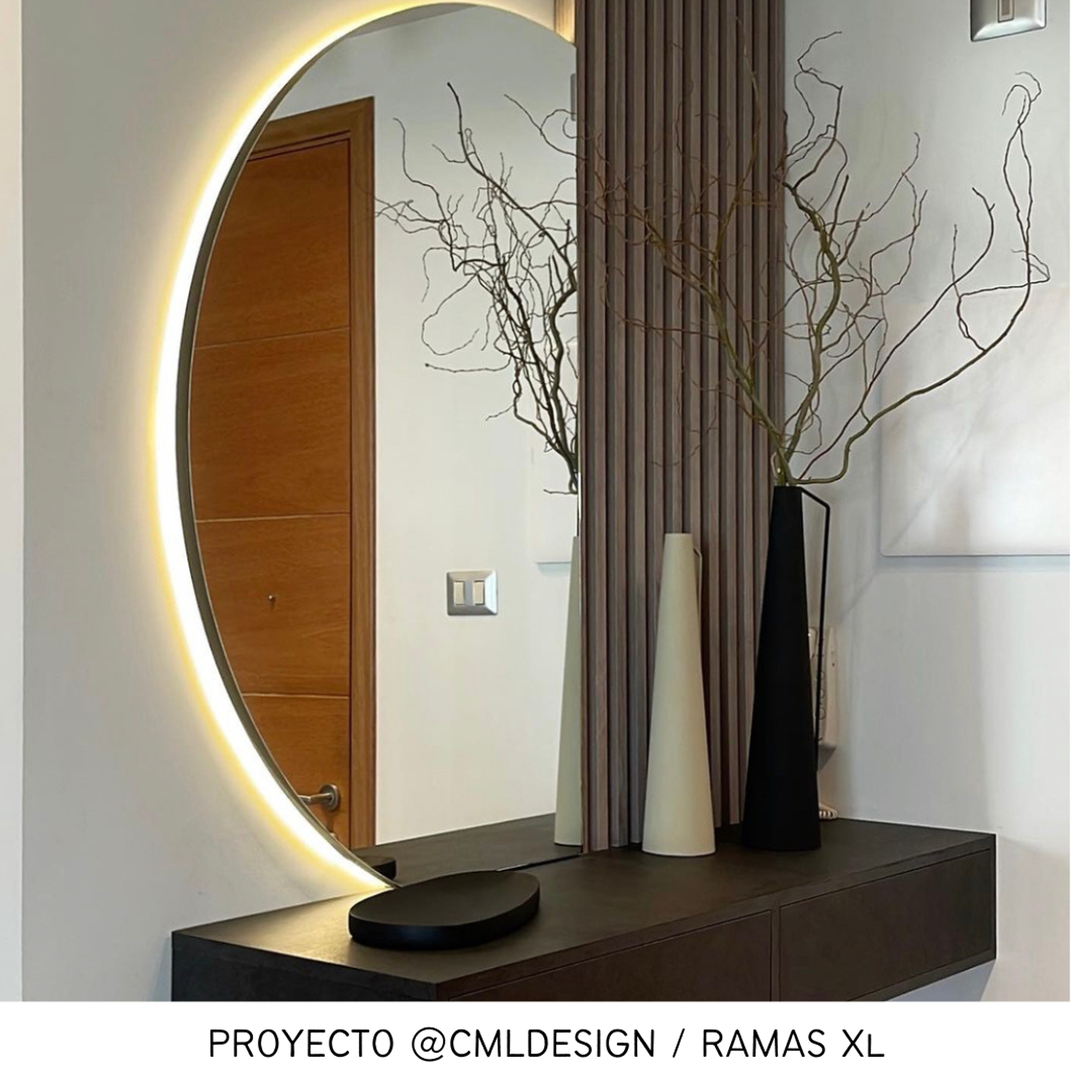 Ramas de Sauce crespo / Flores secas   2