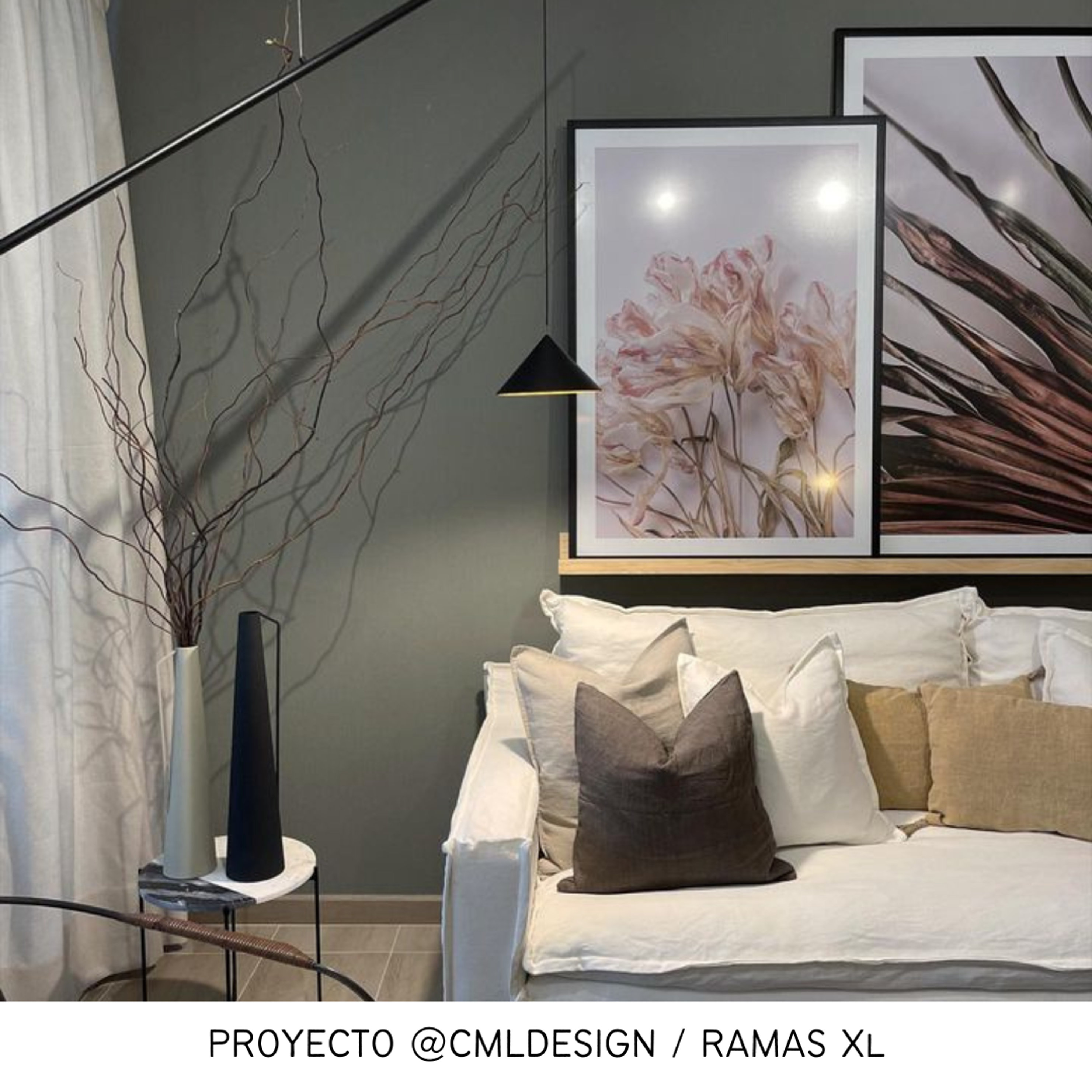 Ramas de Sauce crespo / Flores secas   4