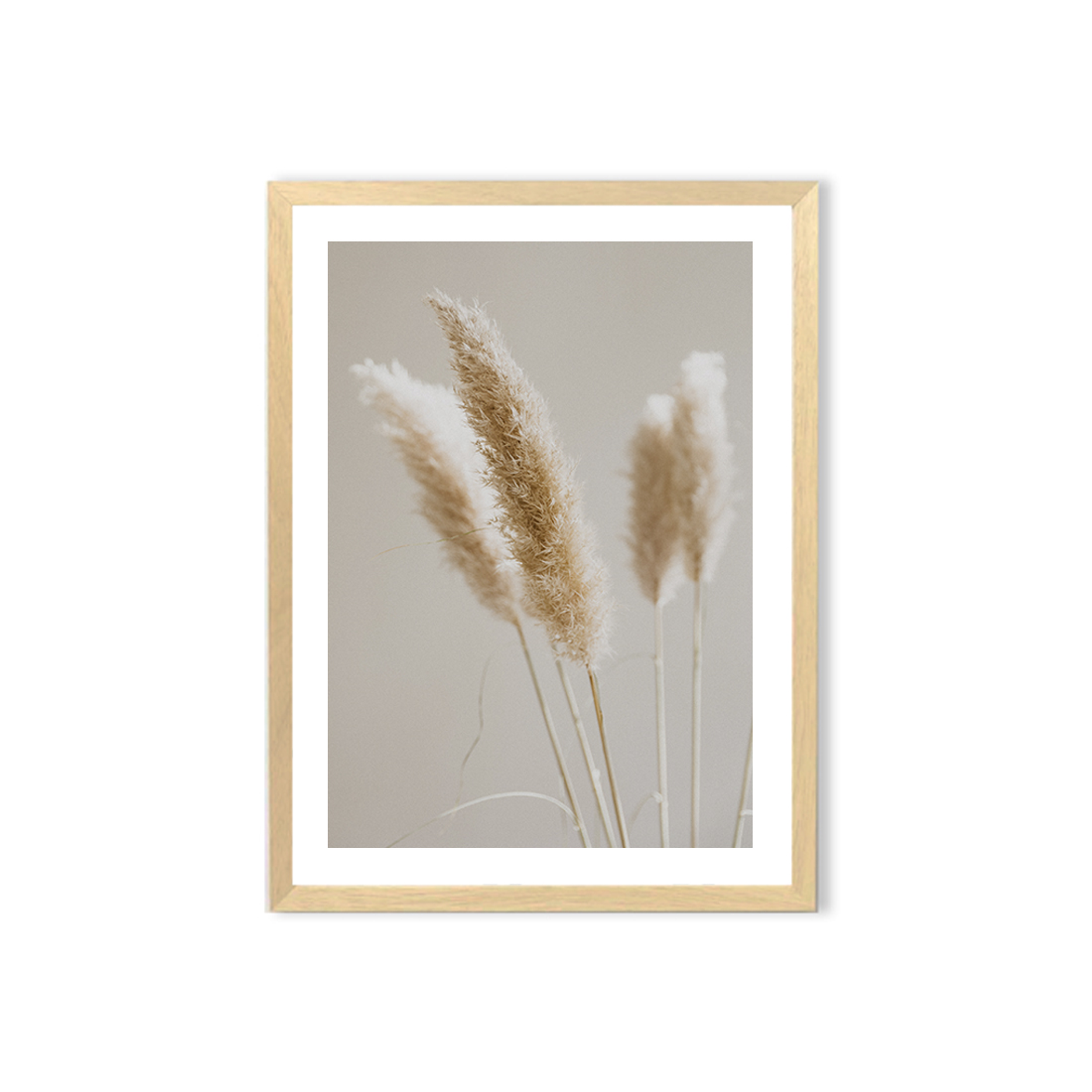 Cuadro / Pampa grass 1