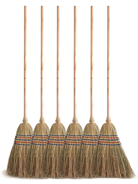 Escoba De Rama 5 Costuras - Pack 6 Unidades