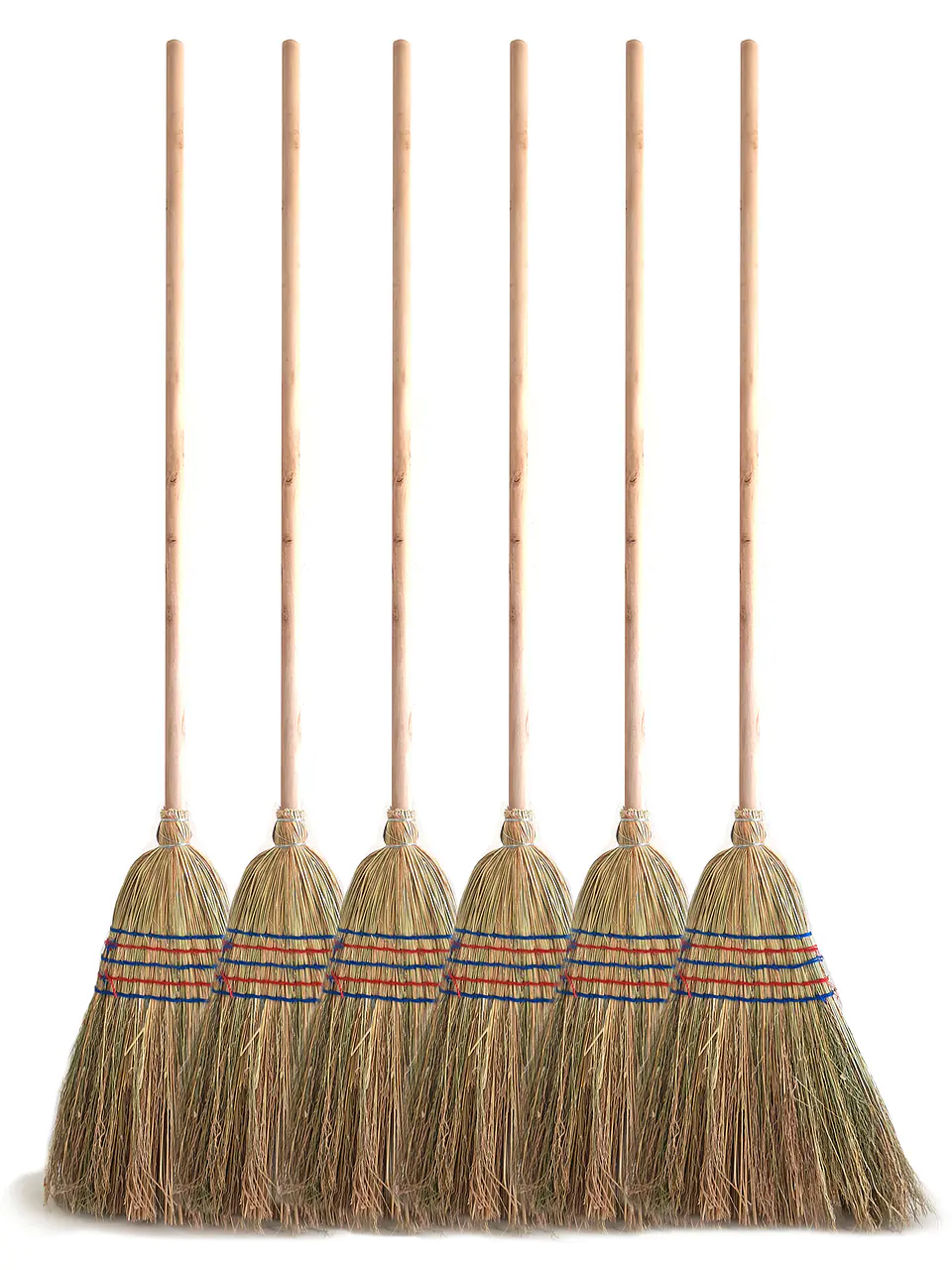 Escoba De Rama 5 Costuras - Pack 6 Unidades 1