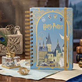 AGENDA HARRY POTTER 2027