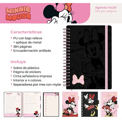 AGENDA MINNIE 2027
