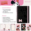 AGENDA MINNIE 2027