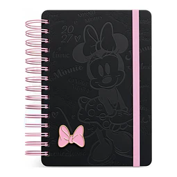 AGENDA MINNIE 2027