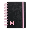 AGENDA MINNIE 2027
