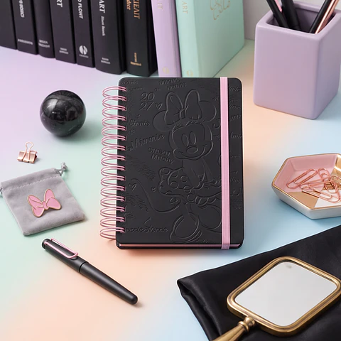 AGENDA MINNIE 2027