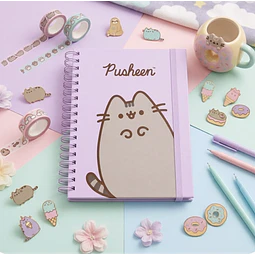 AGENDA PUSHEEN 2027