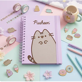 AGENDA PUSHEEN 2027