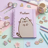 AGENDA PUSHEEN 2027