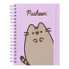 AGENDA PUSHEEN 2027