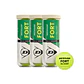 Pack 3 Tarros Dunlop Fort All Court x3 - Miniatura 1