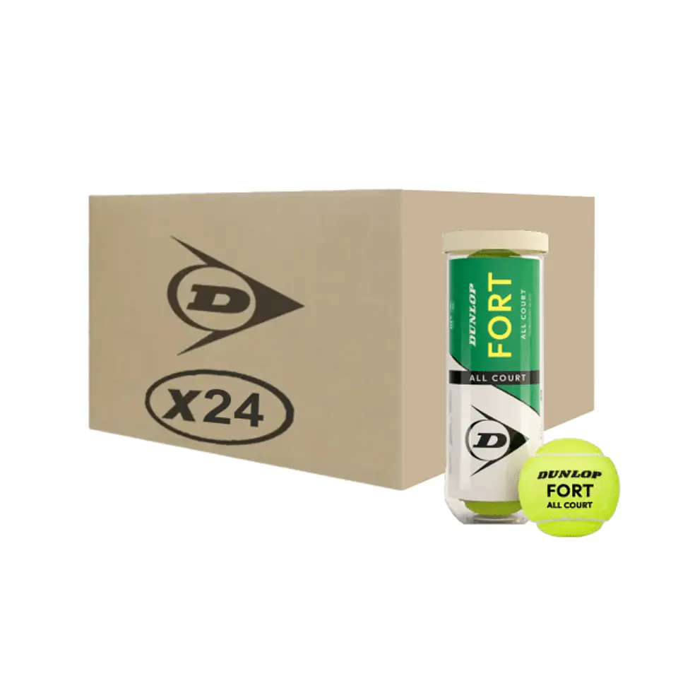 Caja 24 tarros Dunlop Fort All Court 1