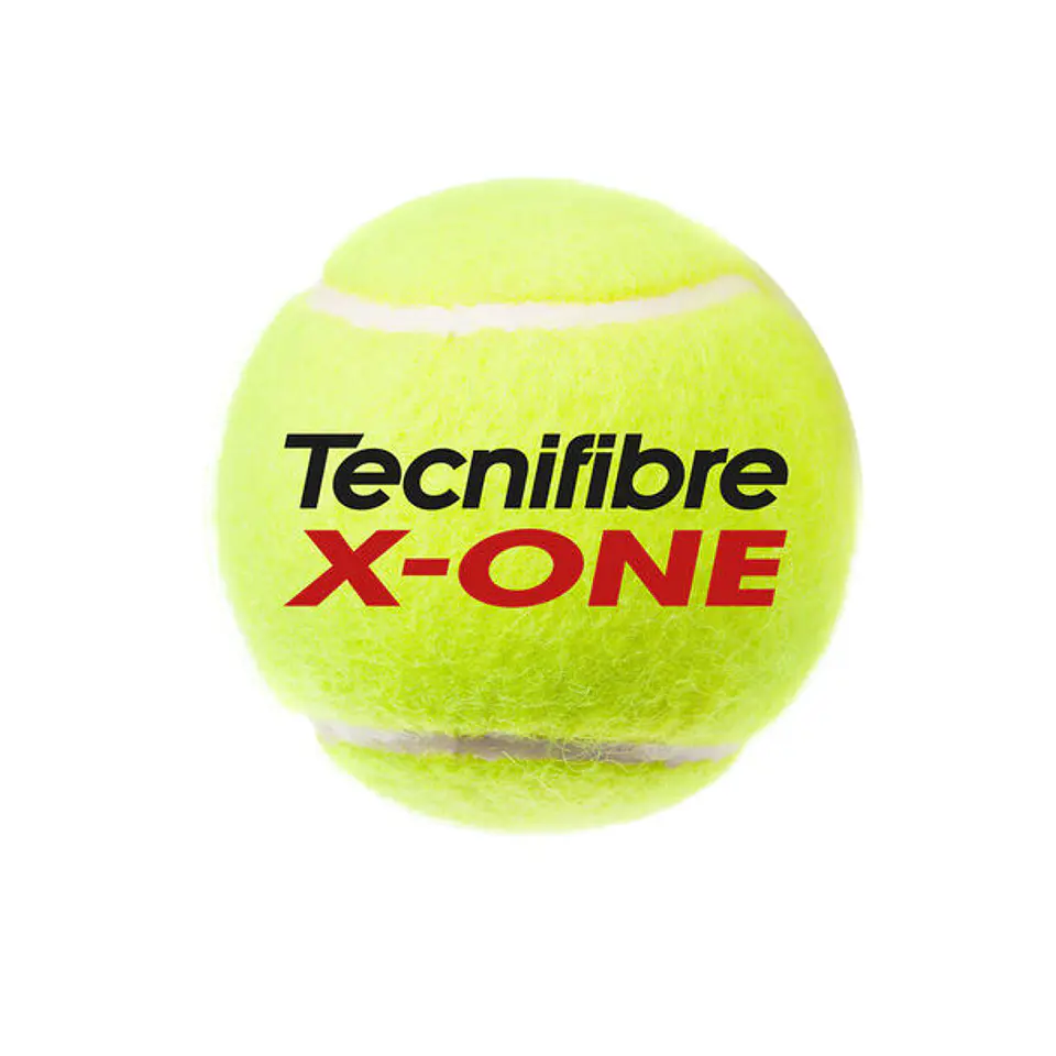 Pack 6 Tarros Tecnifibre X-one x4 2