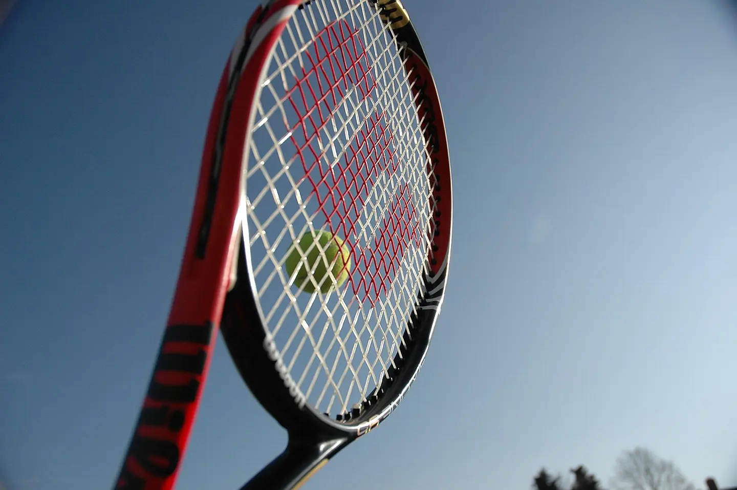 Entrena como un campeón