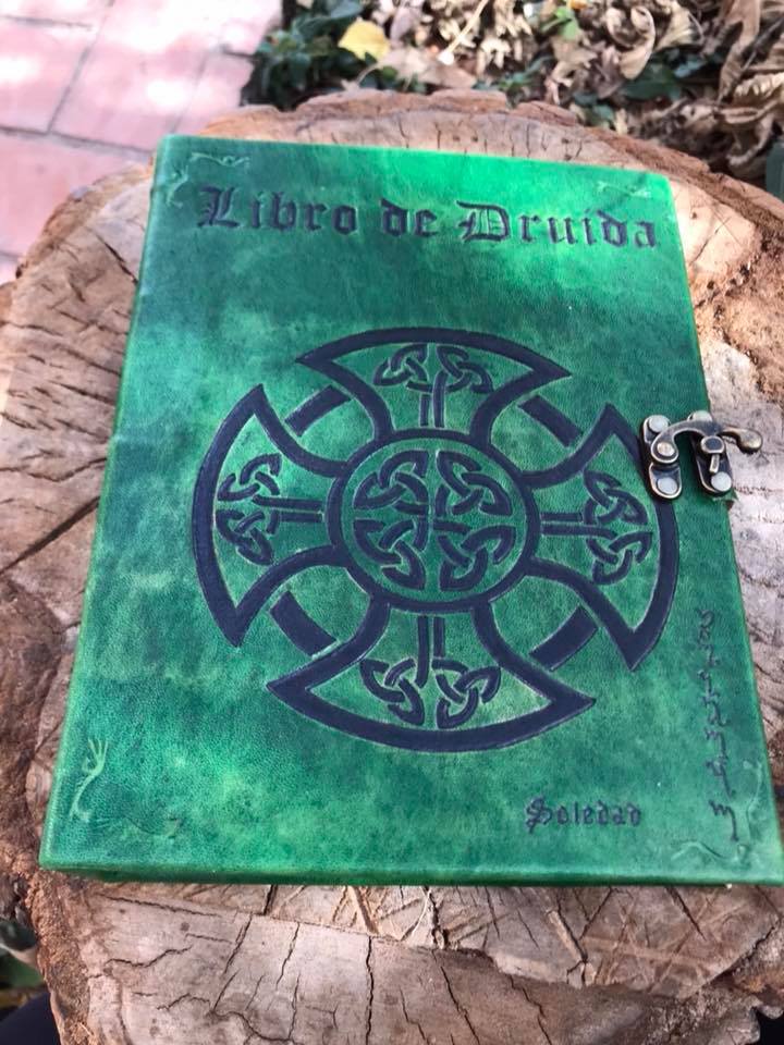 Libro Druida