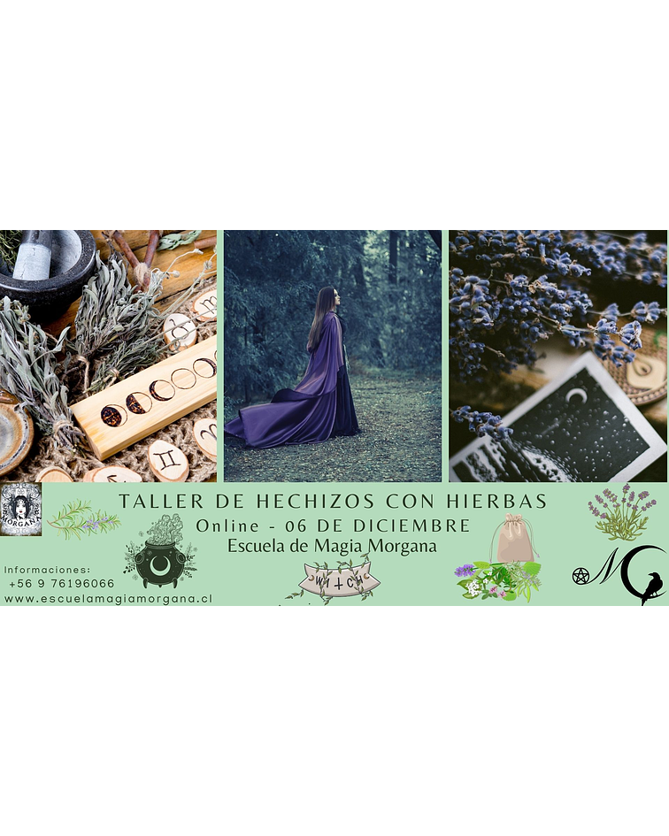 Taller: Hechizos con Hierbas - 50% DE DESCUENTO