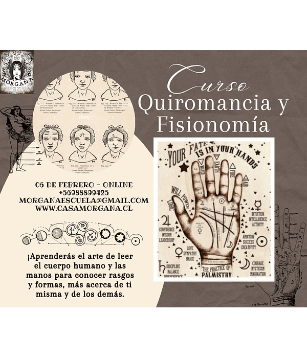 Curso de Quiromancia y Fisionomía- BLACK FRIDAY- 30% DESCUENTO