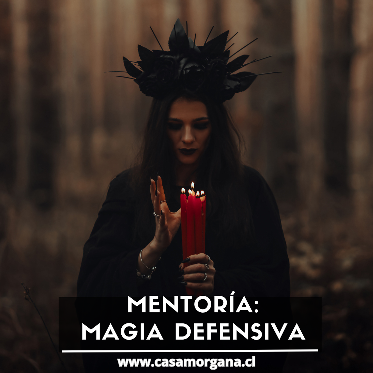 Mentoría Personalizada: Magia Defensiva