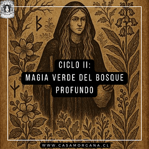 CICLO II: LA MAGIA VERDE DEL BOSQUE PROFUNDO