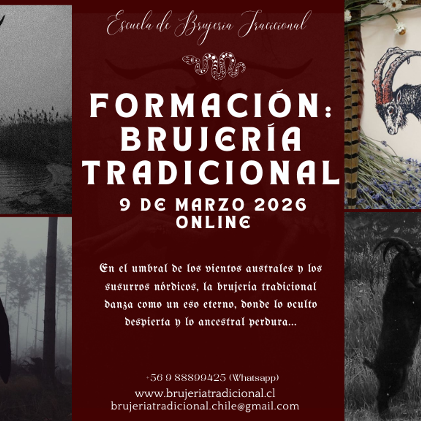 Formación Brujería Tradicional