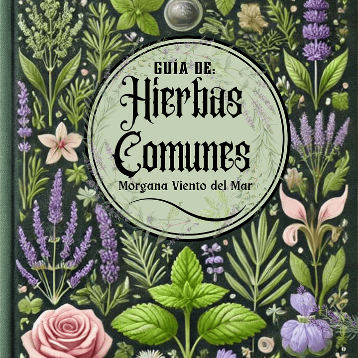 Guía de Hierbas Comunes 3