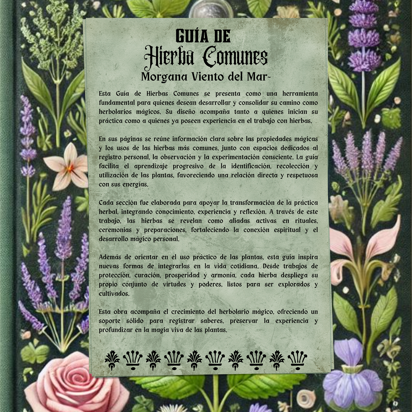 Guía de Hierbas Comunes 4