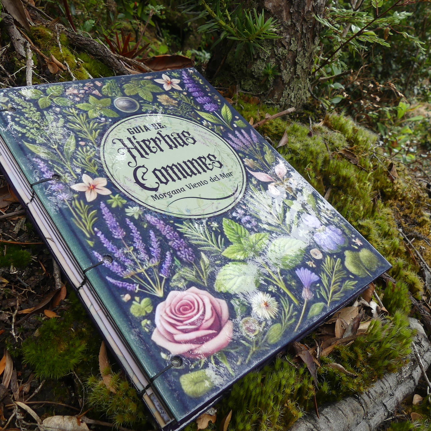 Guía de Hierbas Comunes 1