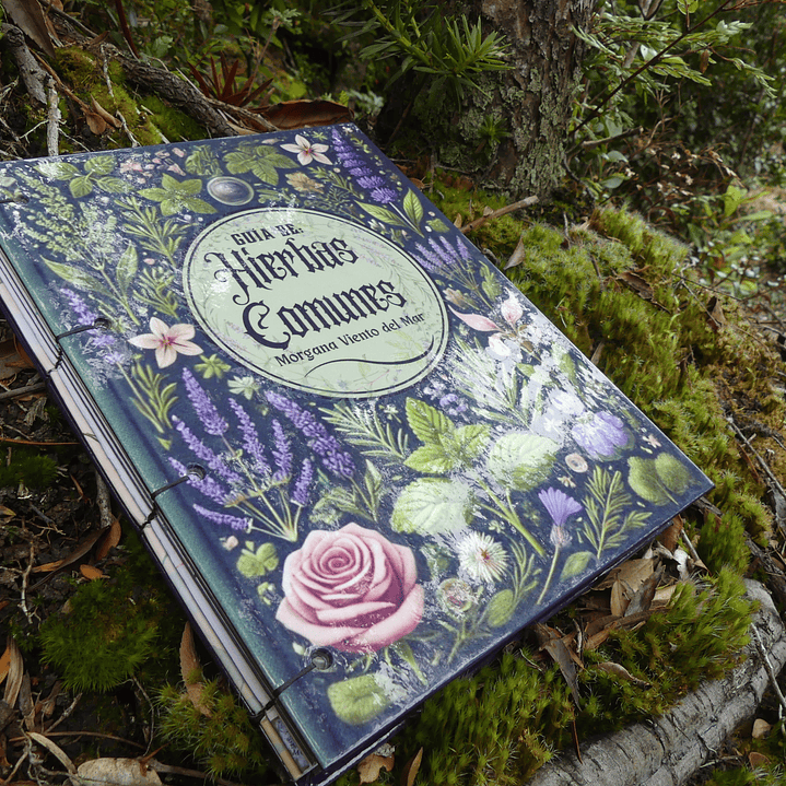 Guía de Hierbas Comunes 1