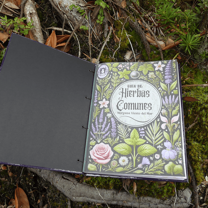 Guía de Hierbas Comunes 5