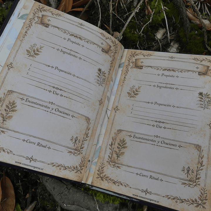 Guía de Hierbas Comunes 6