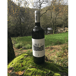 Vale do Lourêdo Chardonnay & Arinto 2020