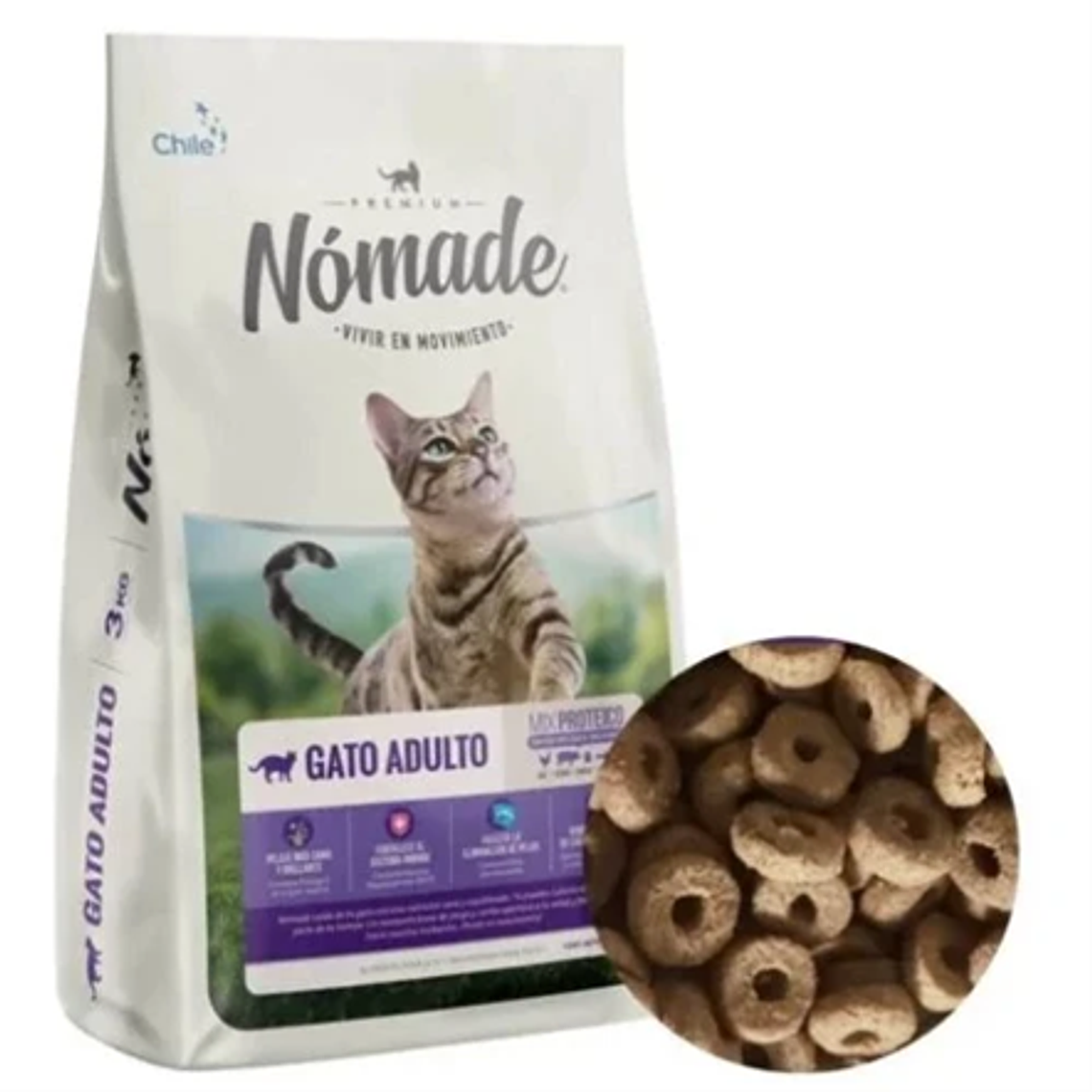 NOMADE GATO 1