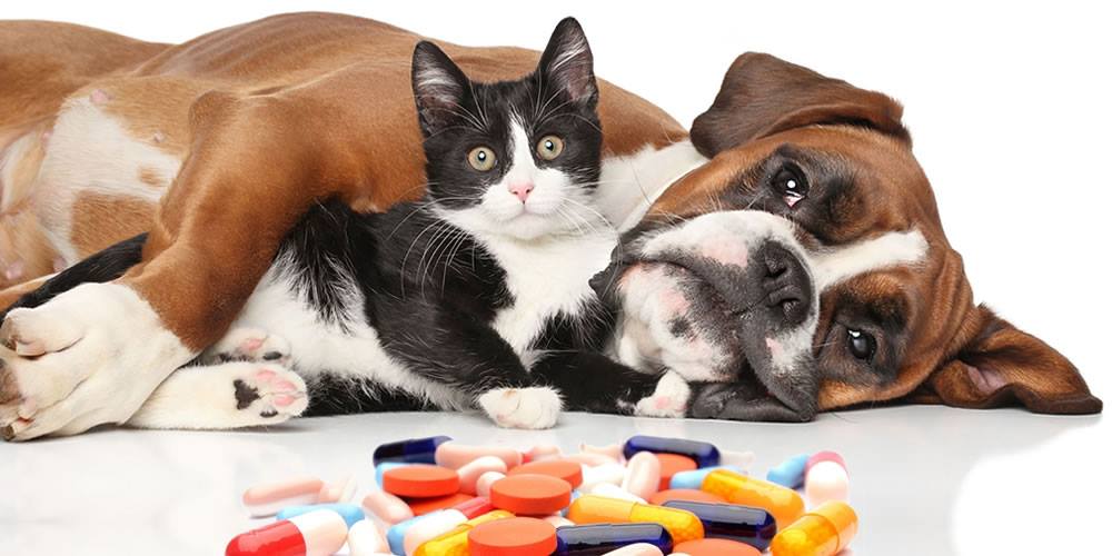 Farmacia Veterinaria