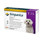 Simparica Antiparasitario Perros – Antiparasitario Interno y Externo – 1 comprimido - Miniatura 3