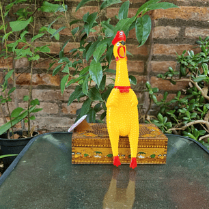 Juguete para perros pollo sonoro.