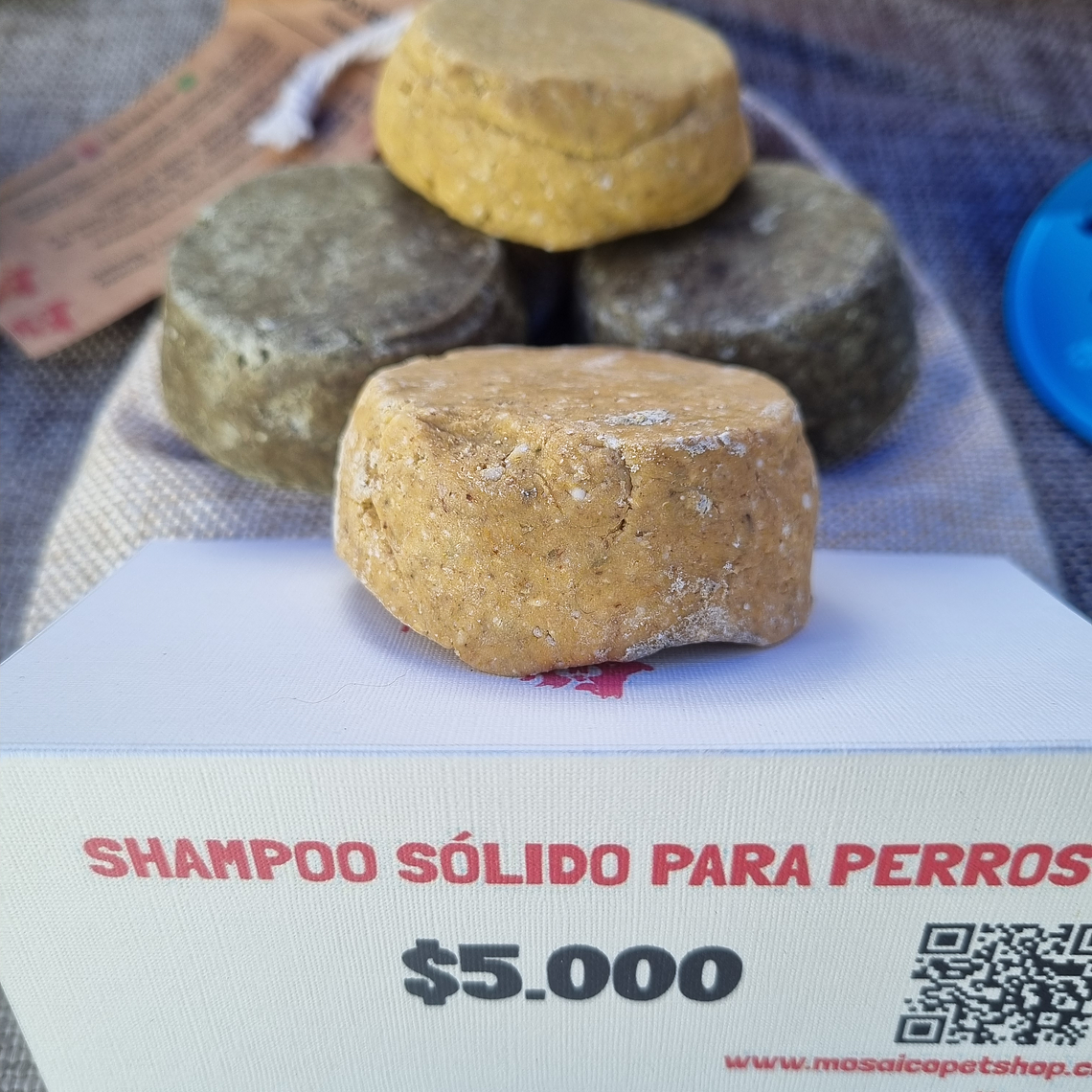 Shampoo Solido para perros 1